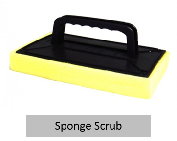 Sponge