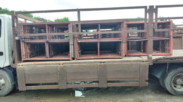 Vertical Frame (Scaffolding) - Image 4