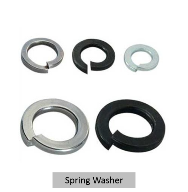 Spring Washer